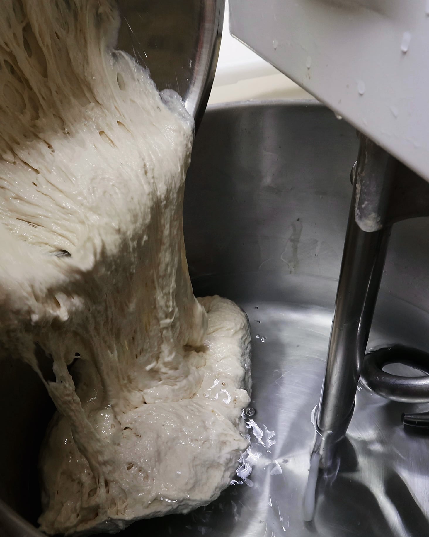Thick, bubbly sourdough starter stretches in long strands as it slides from a tilted steel bowl into a spiral mixer's bowl, pooling beside the steel dough hook.